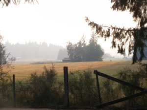 Smoke and Barns