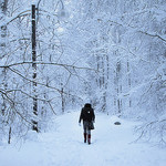 Plenitude Of A Winter Stroll